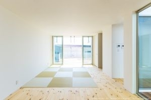 画像1.jpg