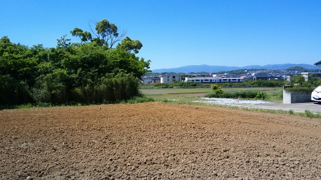 30050943_s.jpg