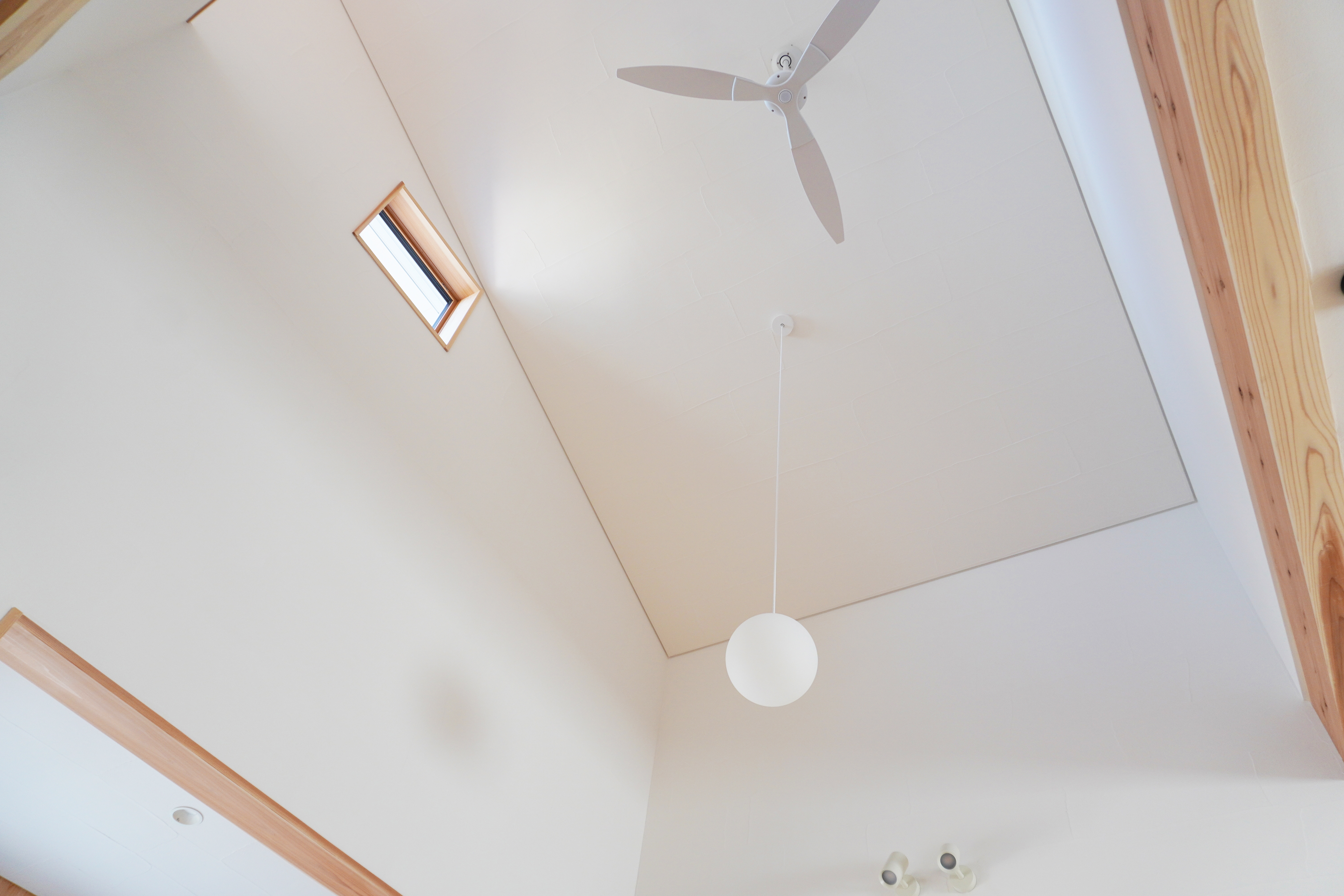 AdobeStock_805259905.jpeg